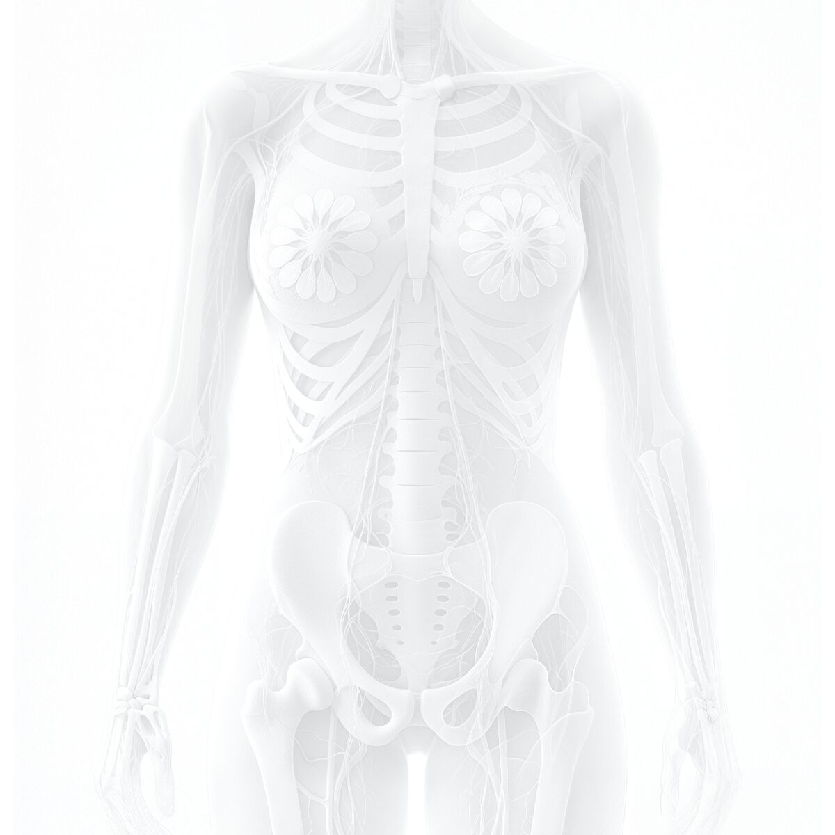 01 PRÄVENTION ​BASIS