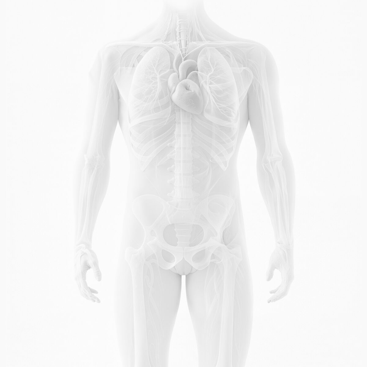 02 PRÄVENTION PREMIUM