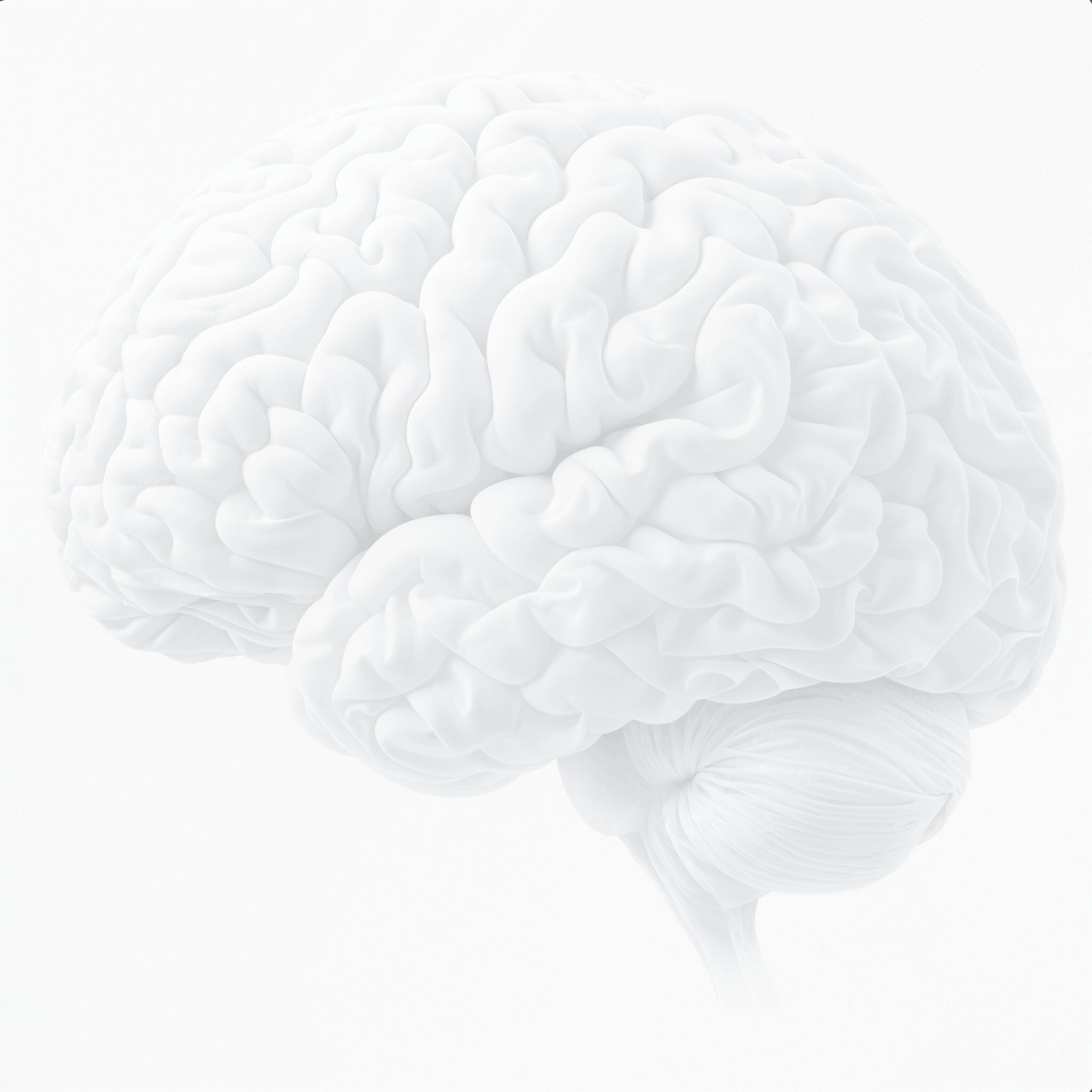 Schädel MRT Neuro MRT