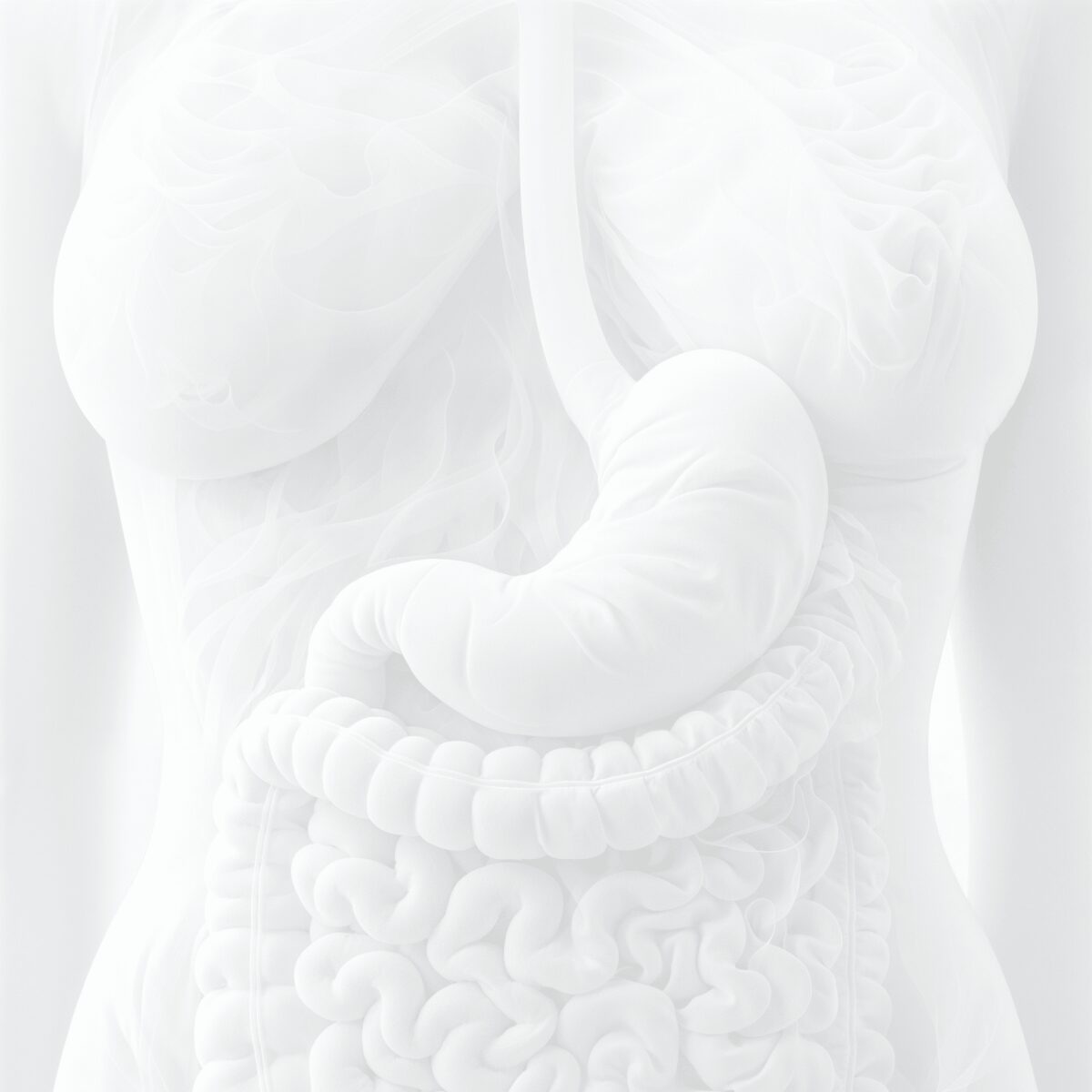 Abdomen und Becken MRT