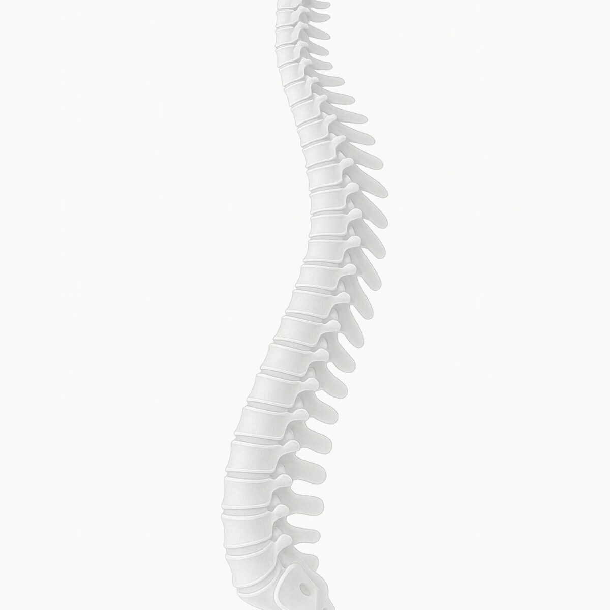 Wirbelsäule & Gelenke MRT